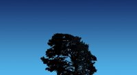 Tree On Blue Sky119639345 200x110 - Tree On Blue Sky - tree, blue, abstract